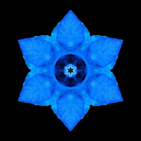 Image Flower Mandala