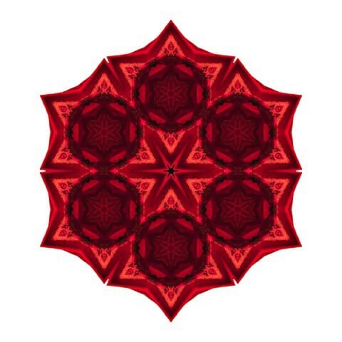 Image Flower Mandala